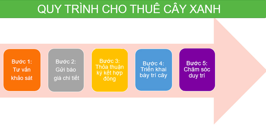 Dịch vụ cho thuê cây xanh sự kiện, văn phòng, công ty